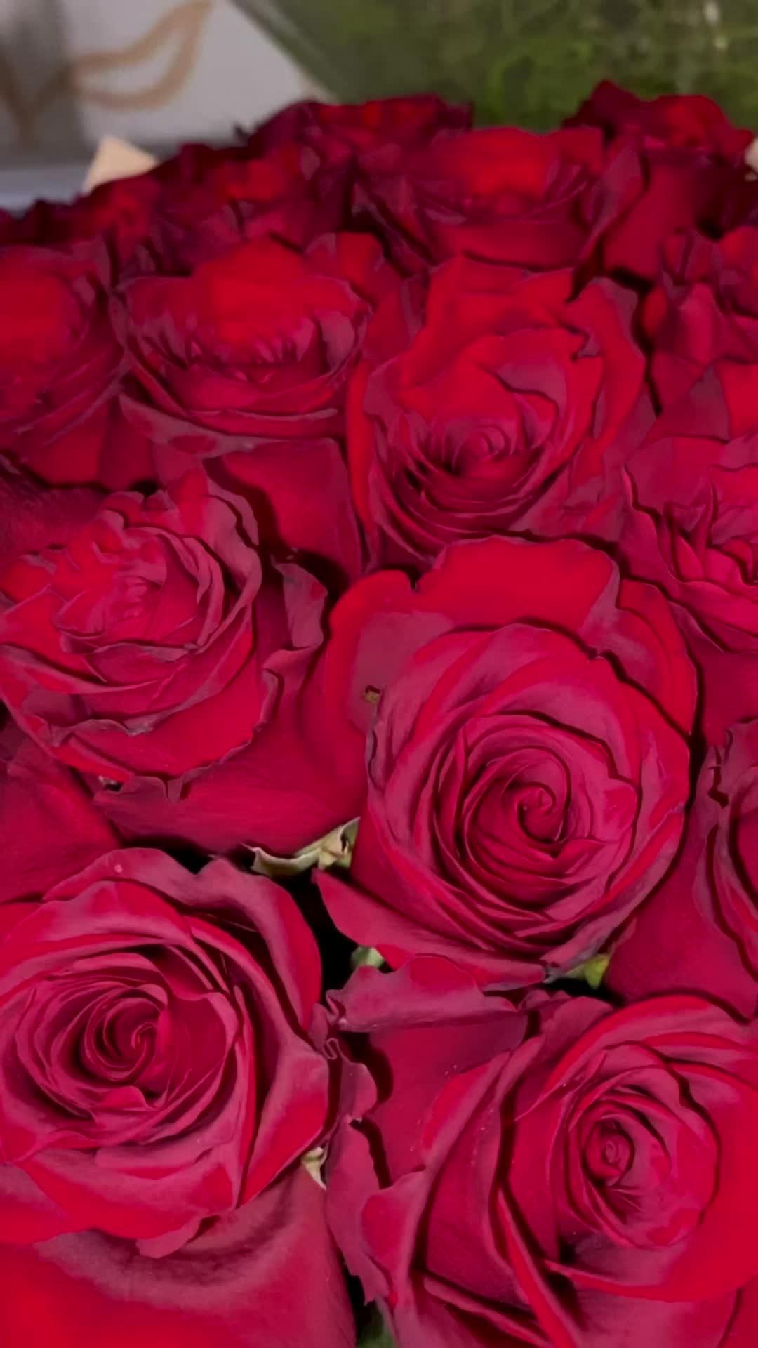 Lush Dreamscape: Vibrant Blossoms Melange
